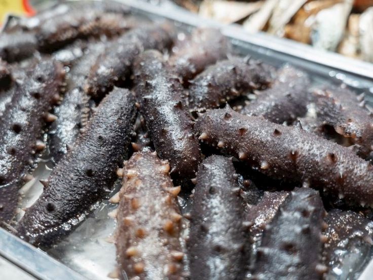 Uzak doğu mutfağında deniz hıyarı oldukça sevilir fakat son yıllarda farklı alanlarda avlanması nedeniyle bu canlının popülasyonu azalıyor.